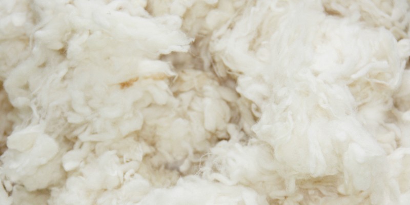 Diferencias entre la lana y el plumón